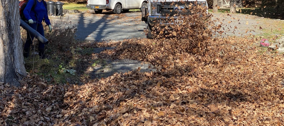 How junk removal is priced